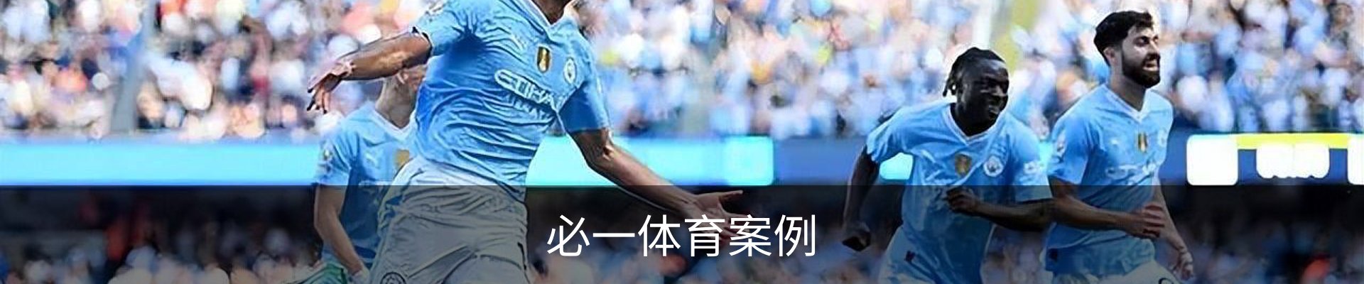 必一体育案例