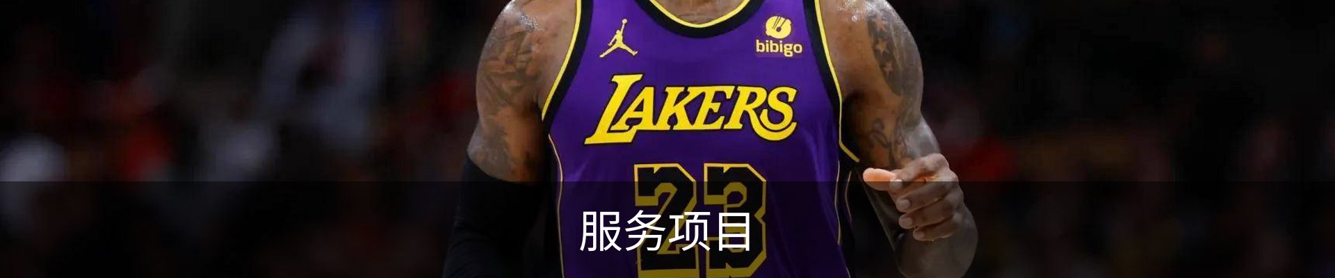 服务项目
